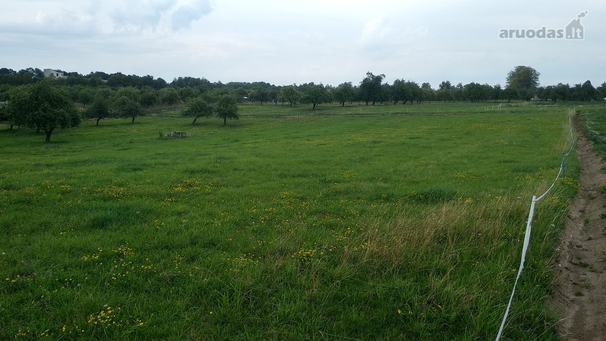 Alytaus rajone Genių k., naujai suformuotame - nuotraukos Nr. 4