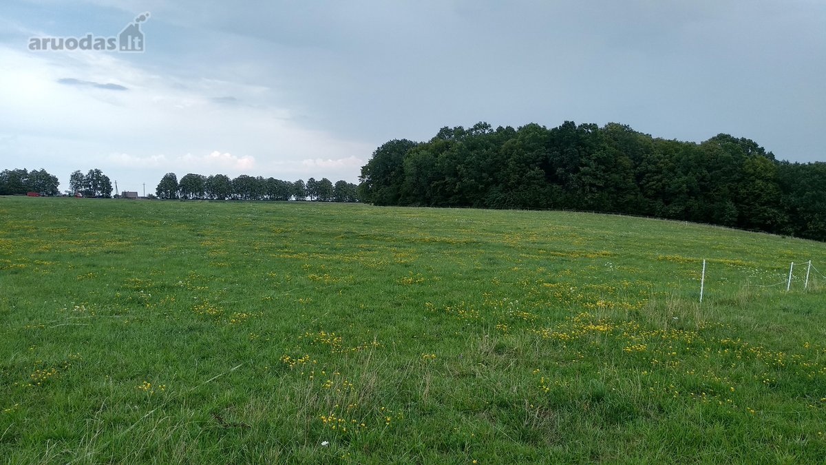 Alytaus rajone Genių k., naujai suformuotame - nuotraukos Nr. 5