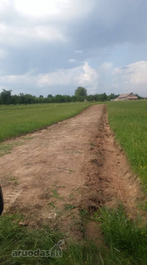 Alytaus rajone Genių k., naujai suformuotame - nuotraukos Nr. 7