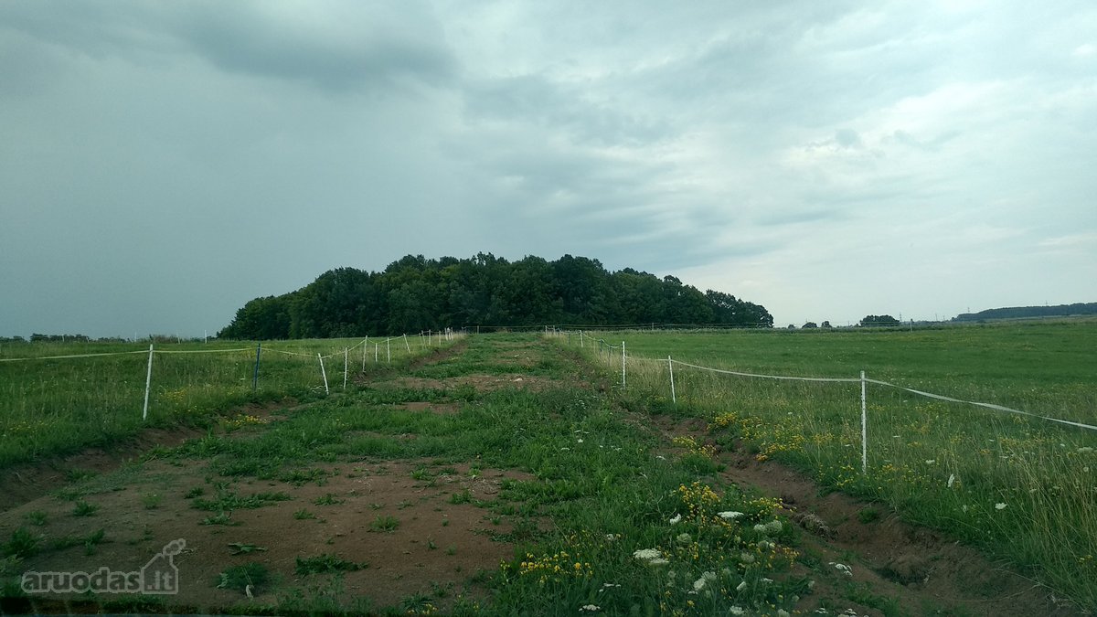 Alytaus rajone Genių k., naujai suformuotame - nuotraukos Nr. 11