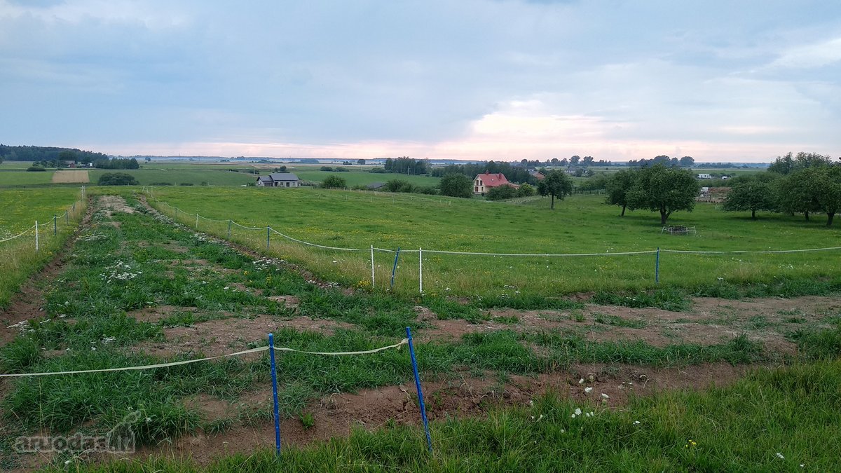 Alytaus rajone Genių k., naujai suformuotame - nuotraukos Nr. 12