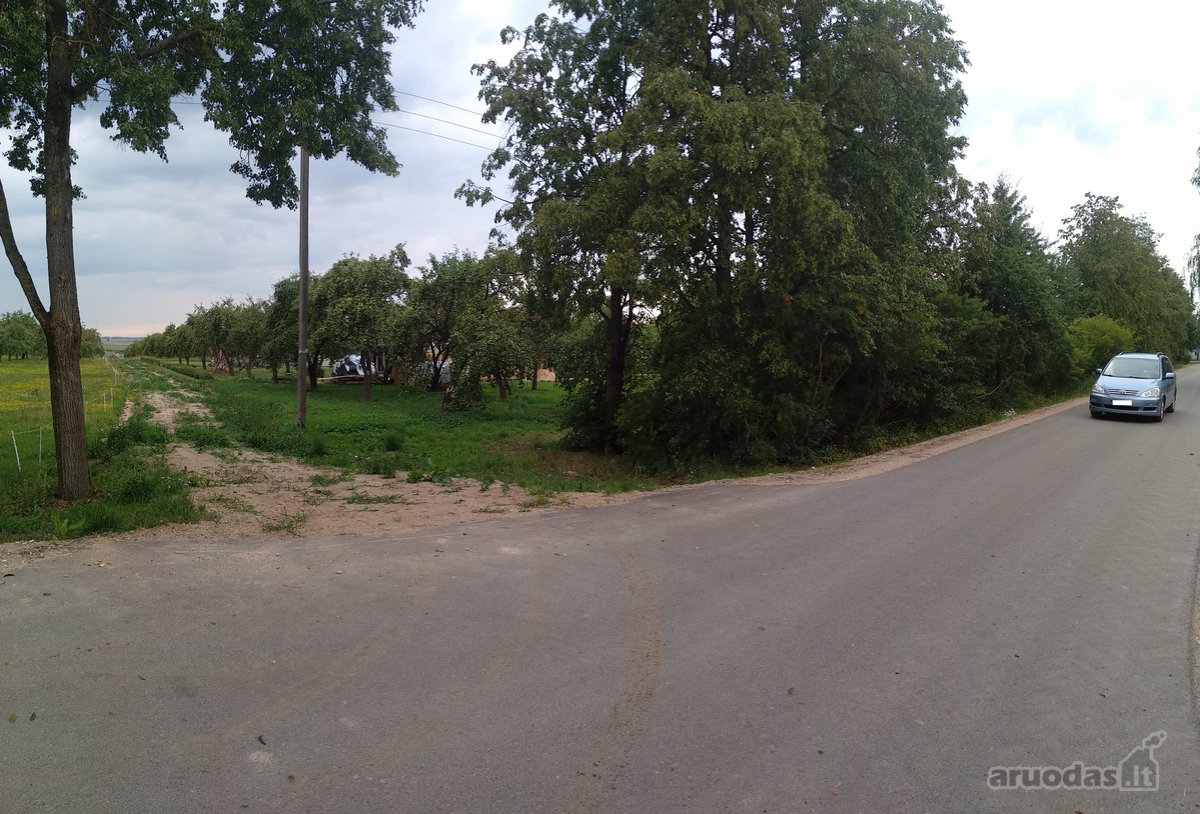 Alytaus rajone Genių k., naujai suformuotame - nuotraukos Nr. 13