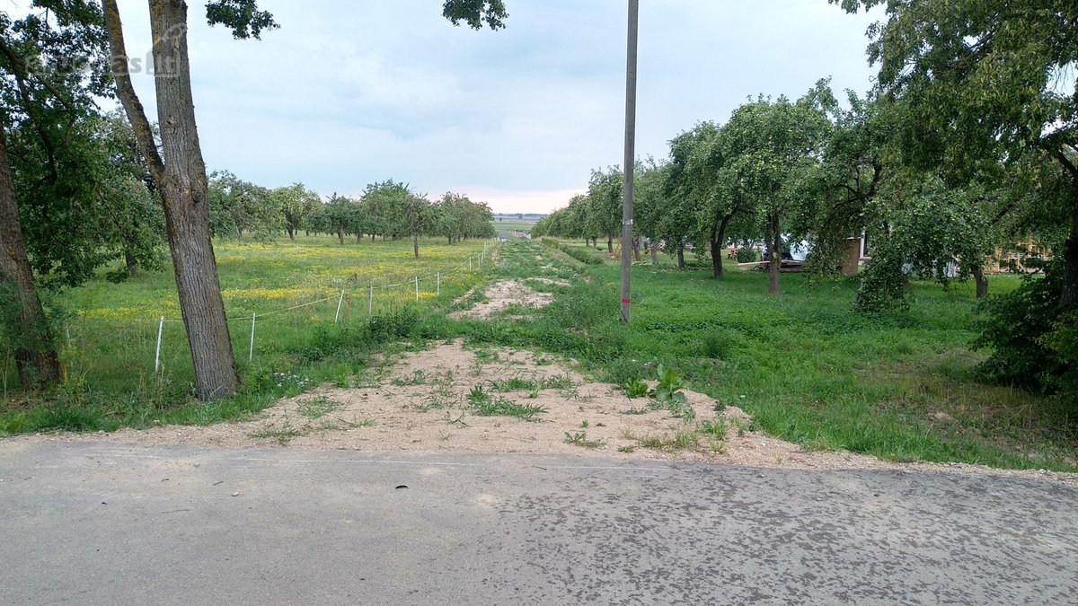 Alytaus rajone Genių k., naujai suformuotame - nuotraukos Nr. 14