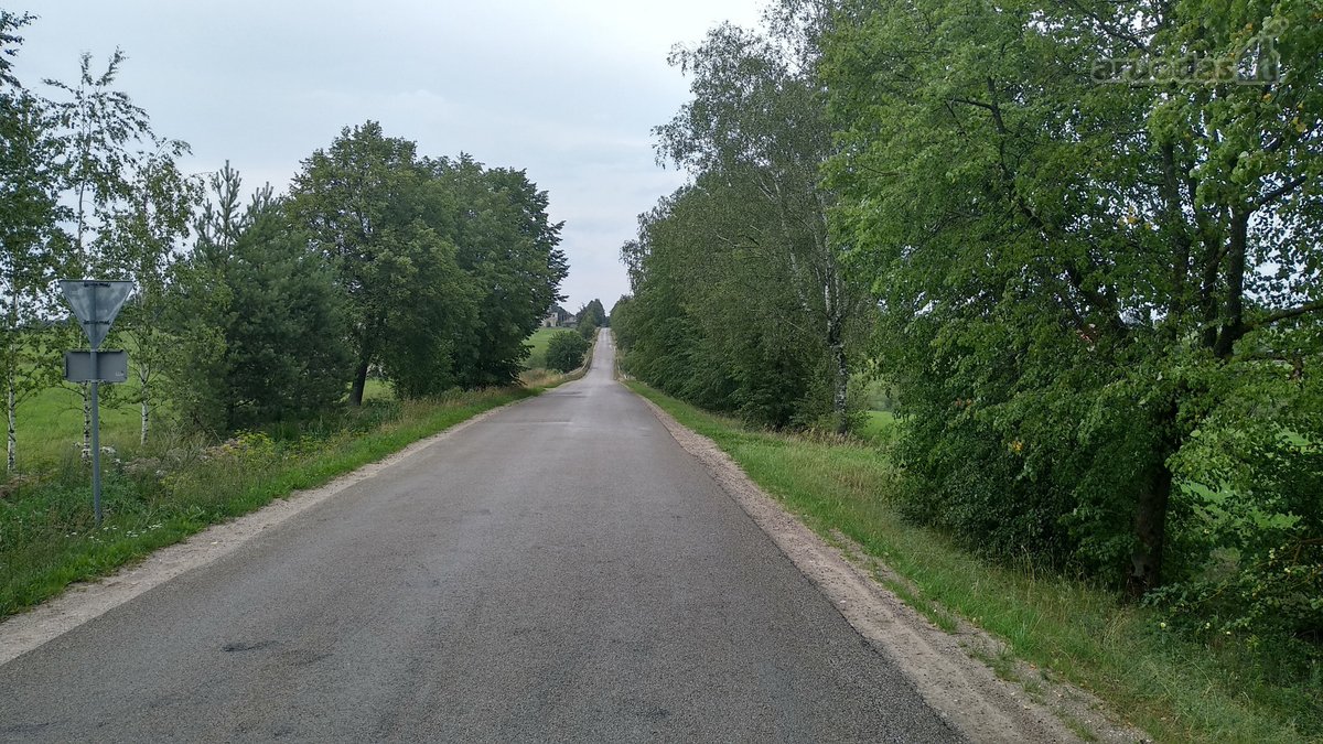 Alytaus rajone Genių k., naujai suformuotame - nuotraukos Nr. 15