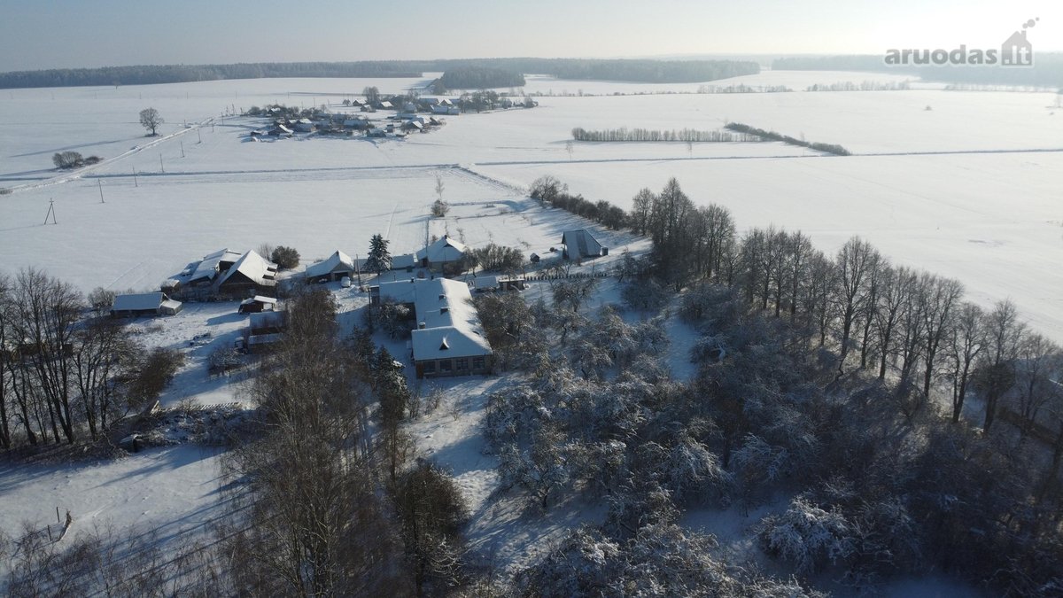 Parduodama negyvenamoji patalpa- mokykla - nuotraukos Nr. 6