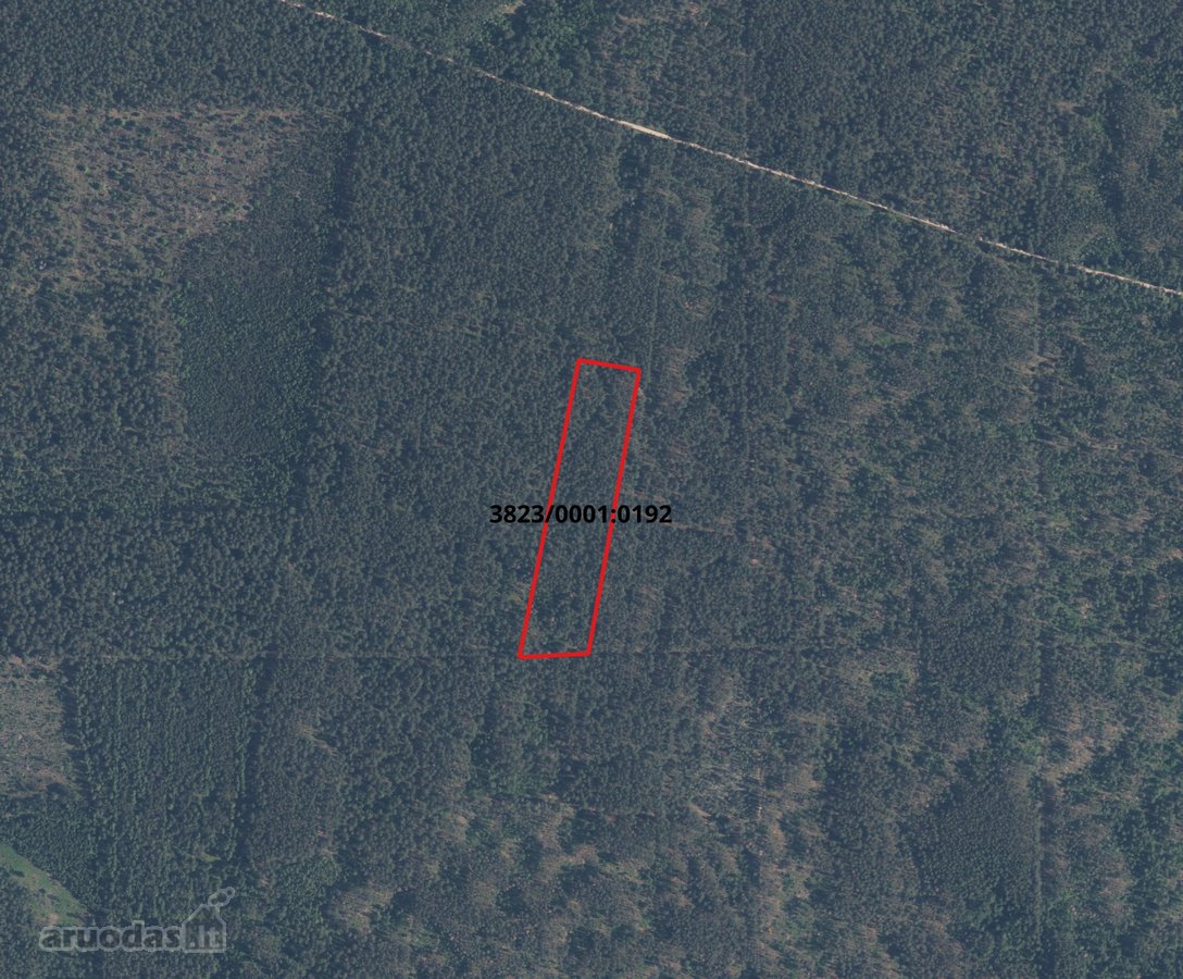 2.06 ha pribręstantis pušynas