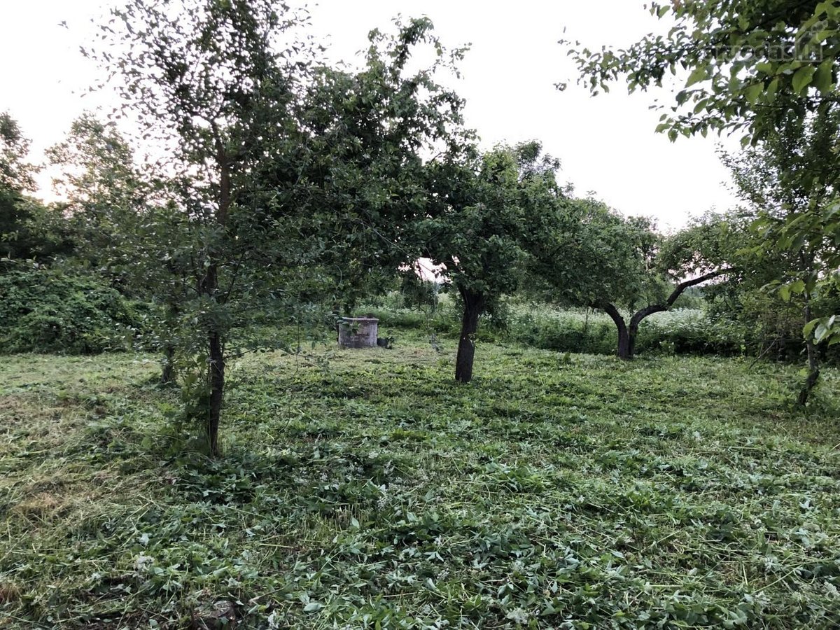 Sienų rąstai gero stovio. 3 pečiai, duonkepis - nuotraukos Nr. 12