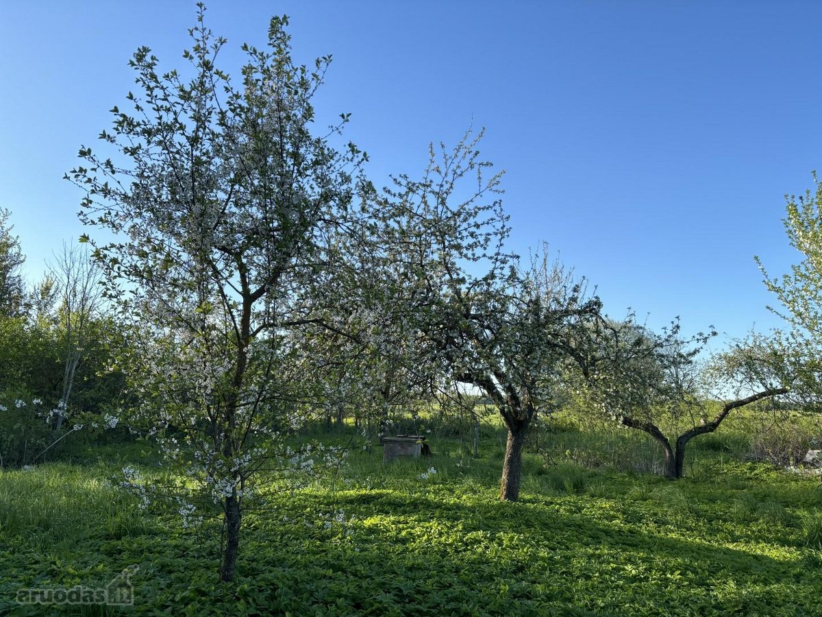 Sienų rąstai gero stovio. 3 pečiai, duonkepis - nuotraukos Nr. 13
