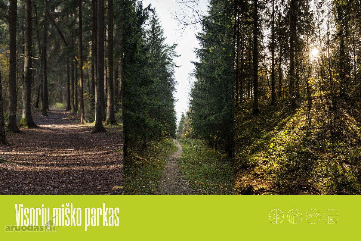 „Miško sprintas“ – tai namai, kuriuose - nuotraukos Nr. 25
