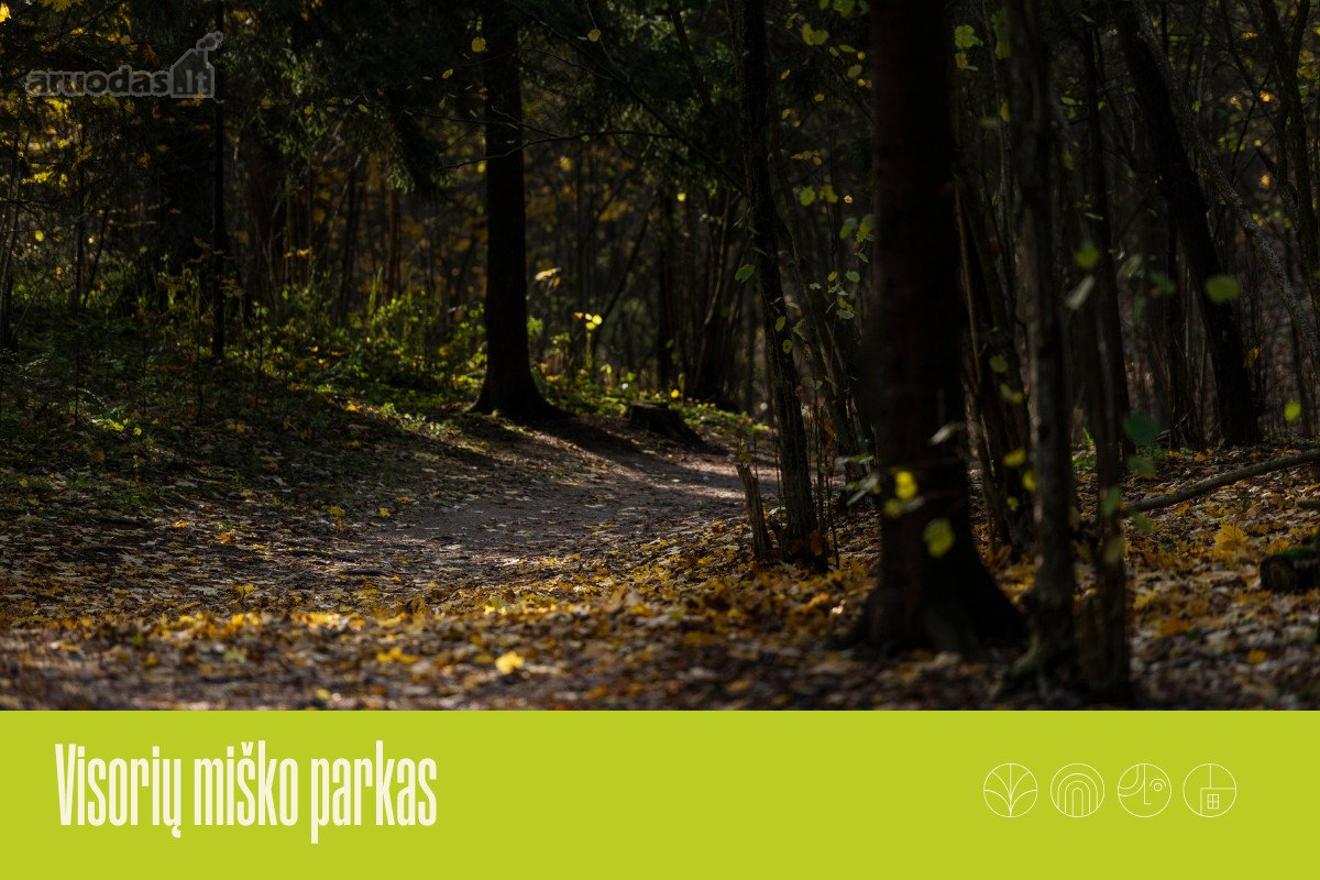 „Miško sprintas“ – tai namai, kuriuose - nuotraukos Nr. 26