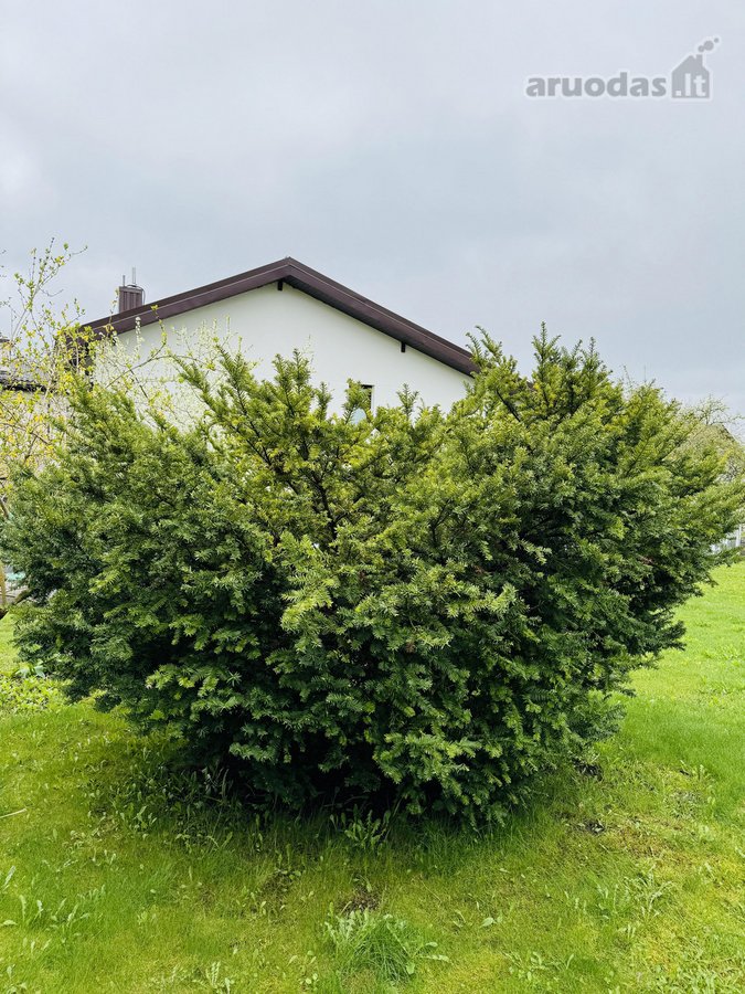Parduodamas 6,27 aro žemės sklypas su gautu - nuotraukos Nr. 4