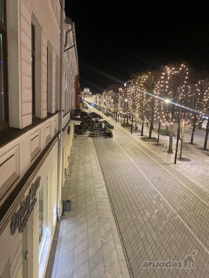 Nuomojamos išskirtinės patalpos laisvės - nuotraukos Nr. 7