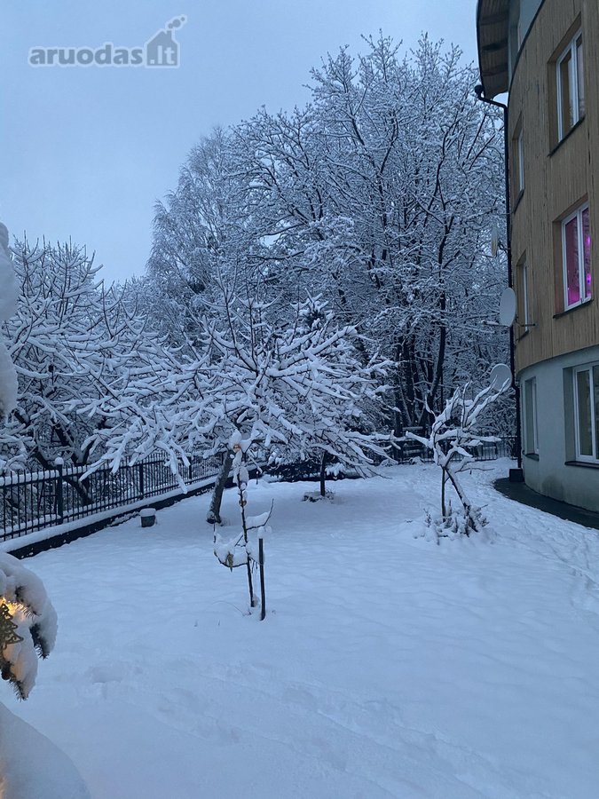 Antakalnyje, ypatingai ramioje ir tylioje - nuotraukos Nr. 24