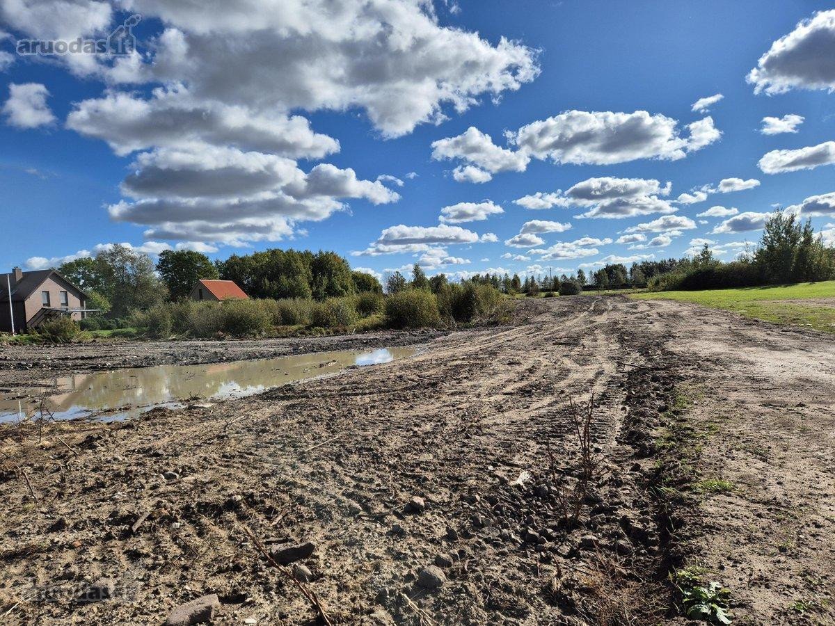 Iki jūros vos 3 km Girulių miškeliu - nuotraukos Nr. 11