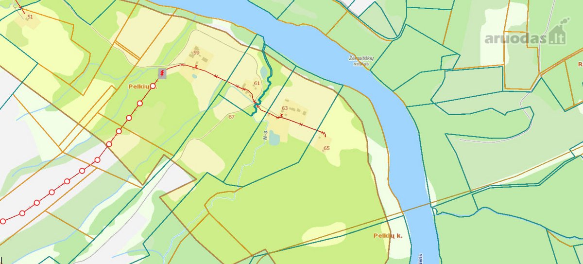 Neries Regioniniame Parke (Pelkių Kaime, - nuotraukos Nr. 6