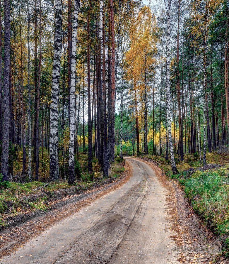 Parduodama sodyba Marcinkonių širdyje – - nuotraukos Nr. 6