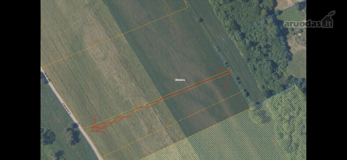 Sklypas randasi 900 m.nuo Kulautuvos - nuotraukos Nr. 9