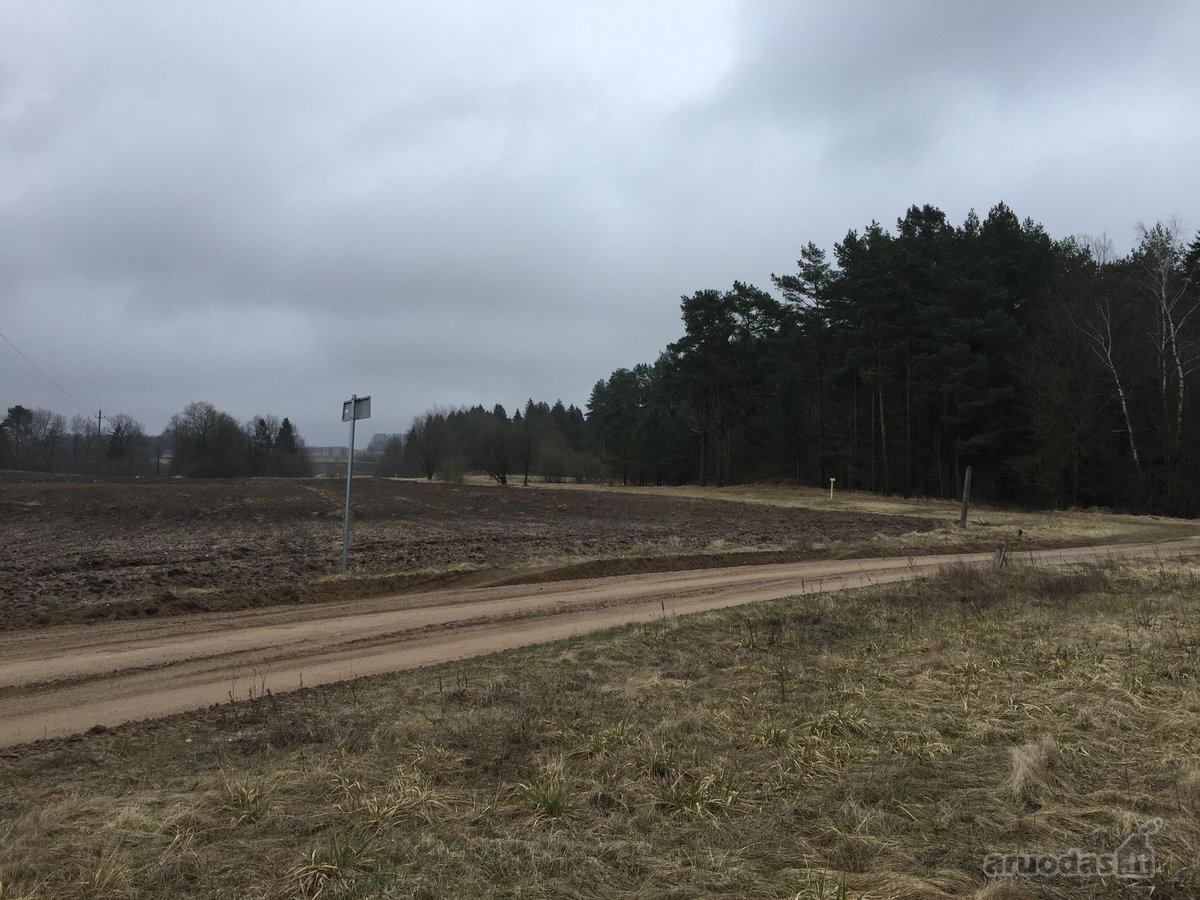 Sklypas randasi 900 m.nuo Kulautuvos - nuotraukos Nr. 19