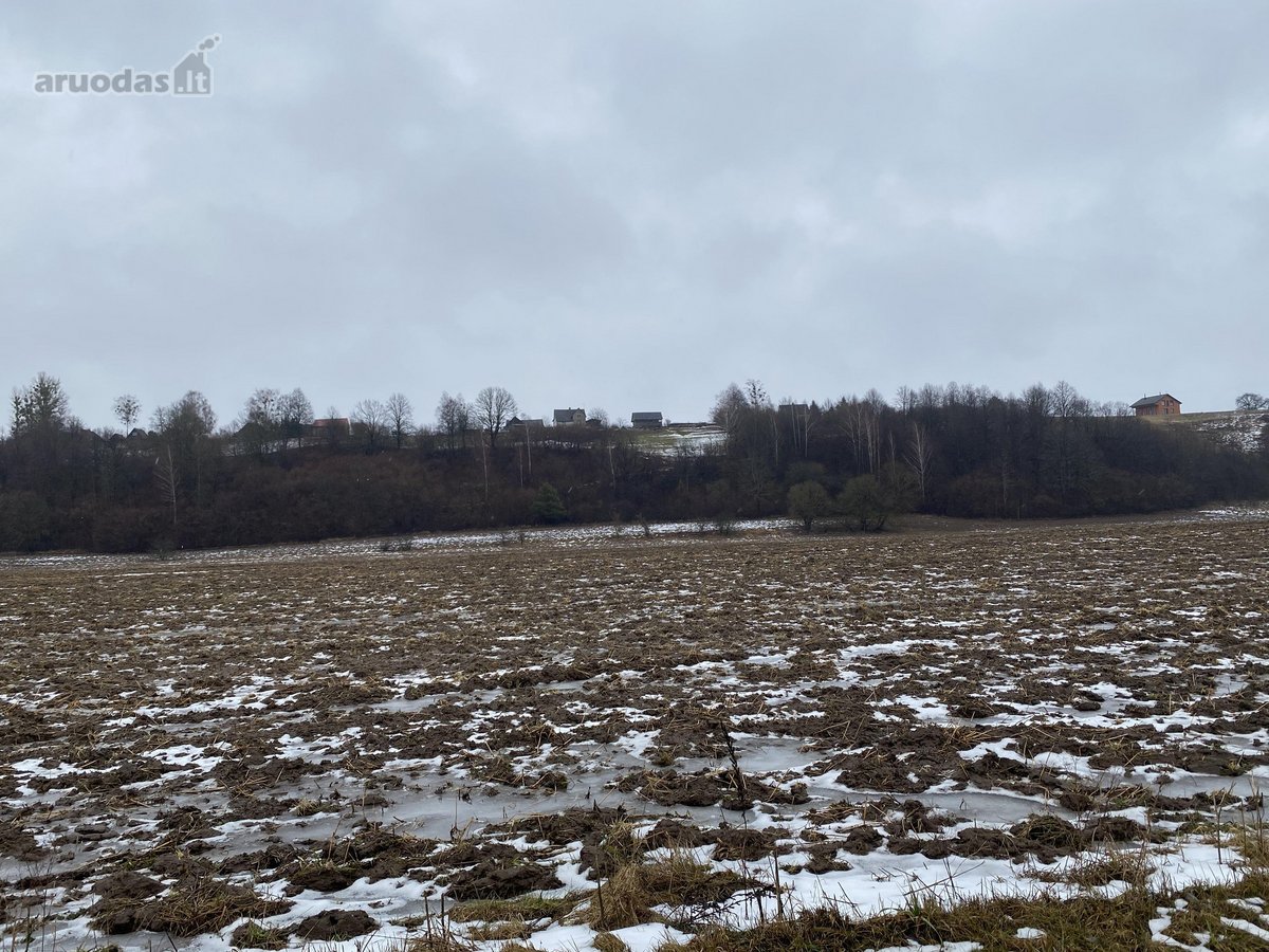 Sklypas randasi 900 m.nuo Kulautuvos - nuotraukos Nr. 20