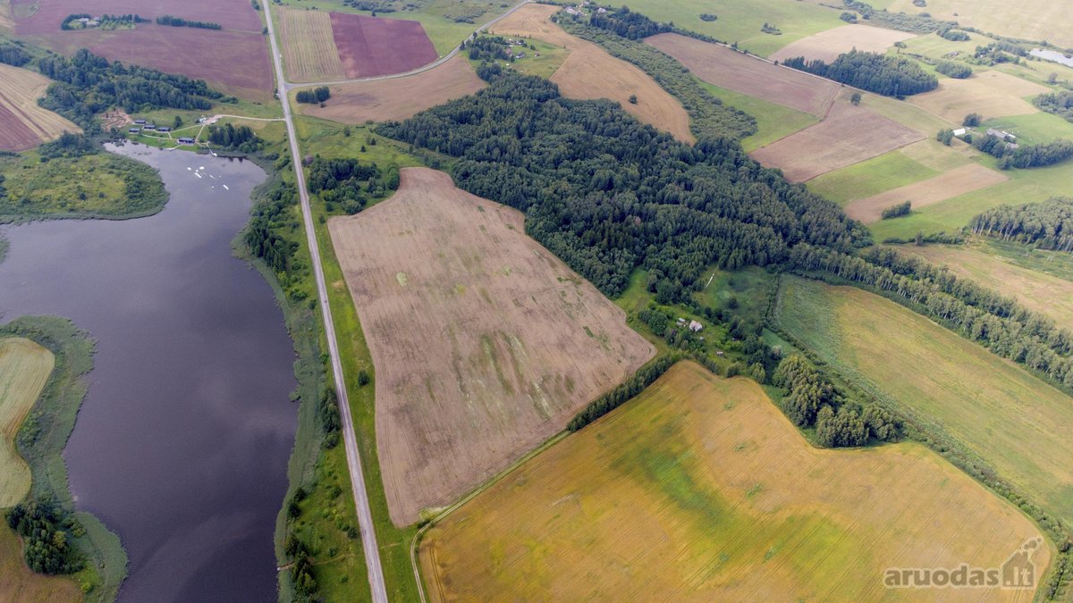 Parduodama 12,5471ha sodyba su žemės ūkio - nuotraukos Nr. 6