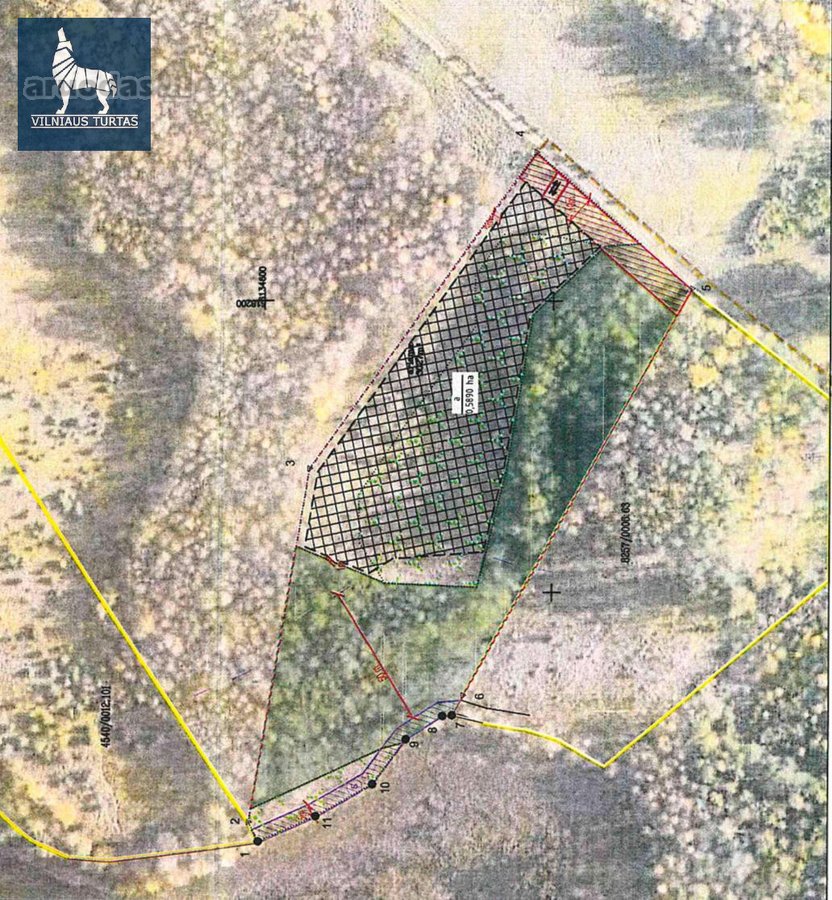 Subiškio k. Ignalinos r. sav. - nuotraukos Nr. 10