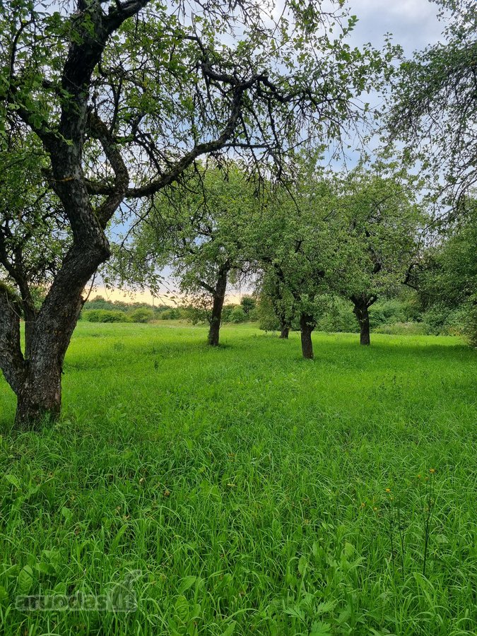 Parduodama Erdvi Sodyba Anykščių R., Aulelių K. - nuotraukos Nr. 9