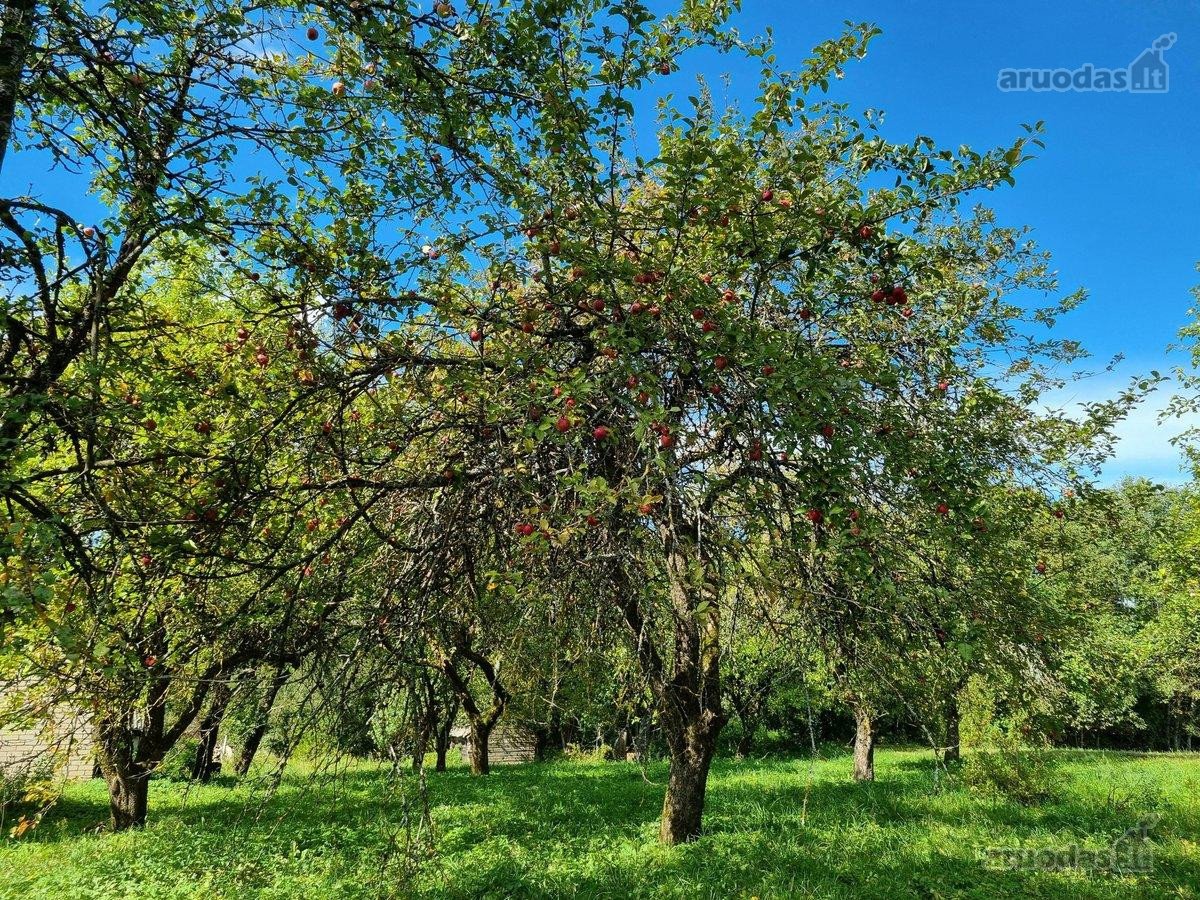 Parduodama Erdvi Sodyba Anykščių R., Aulelių K. - nuotraukos Nr. 7