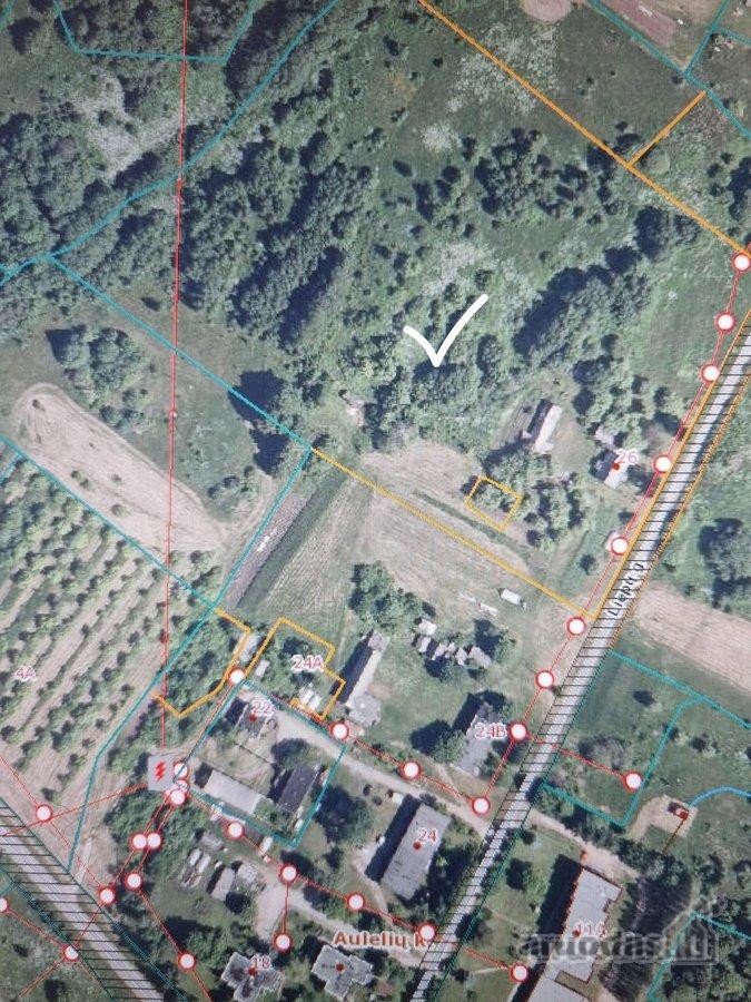 Parduodama Erdvi Sodyba Anykščių R., Aulelių K. - nuotraukos Nr. 13