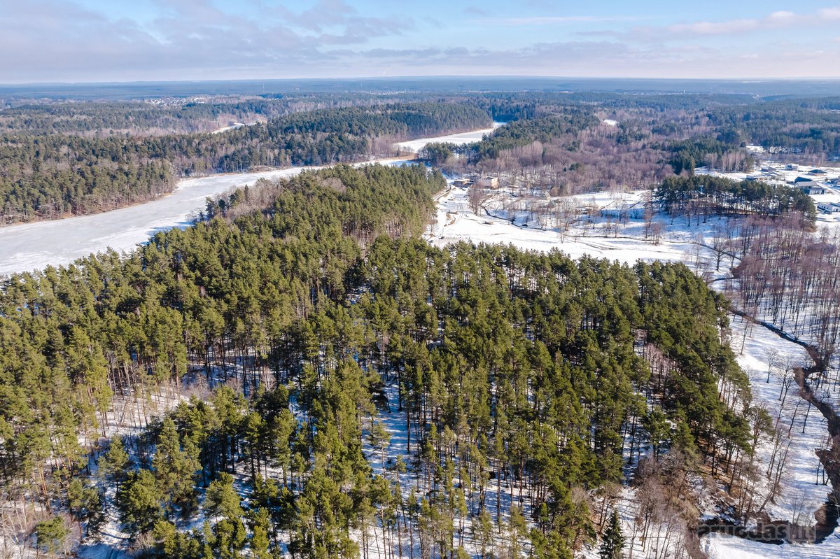 Parduodamas sklypas Didžiuosiuose Gulbinuose - nuotraukos Nr. 15