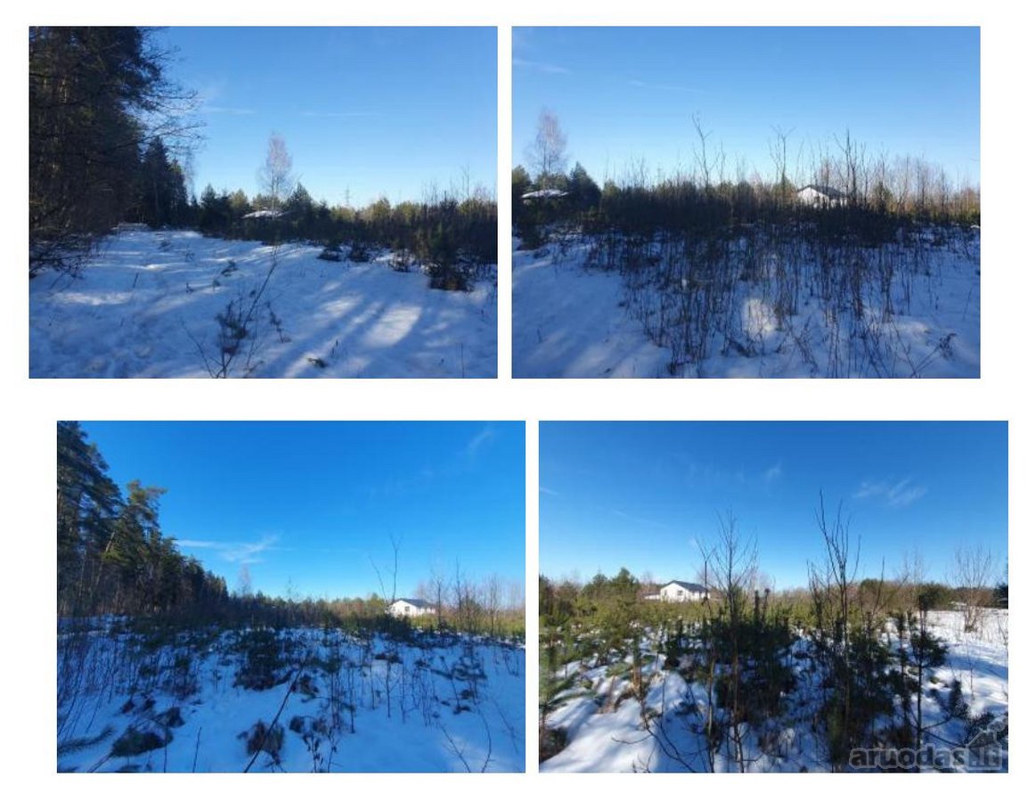 Parduodamas sklypas ramioje ir privatumo - nuotraukos Nr. 2