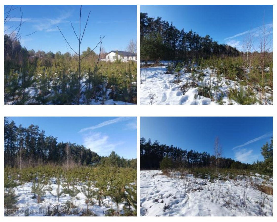 Parduodamas sklypas ramioje ir privatumo - nuotraukos Nr. 3