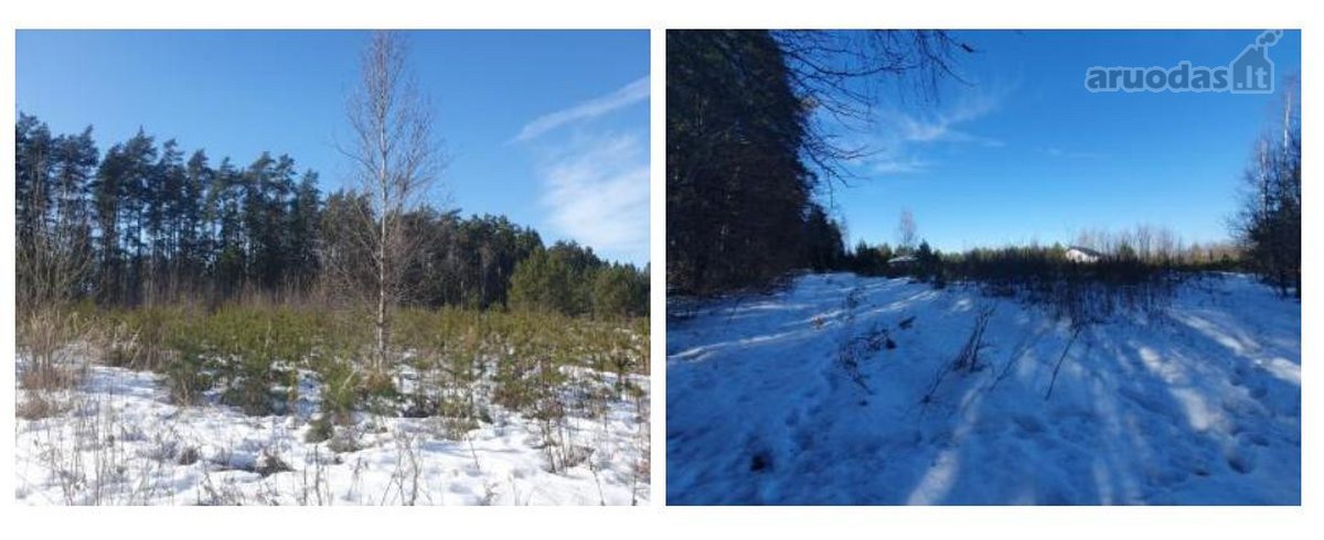 Parduodamas sklypas ramioje ir privatumo - nuotraukos Nr. 4