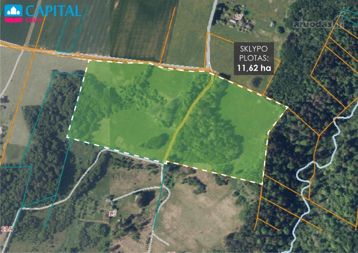 Parduodamas 11,62 Ha Žemės Sklypas Širvintų R - nuotraukos Nr. 2
