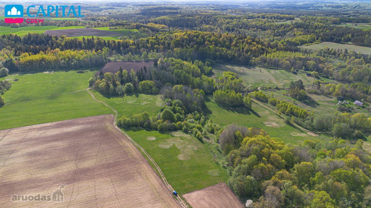 Parduodamas 11,62 Ha Žemės Sklypas Širvintų R - nuotraukos Nr. 4