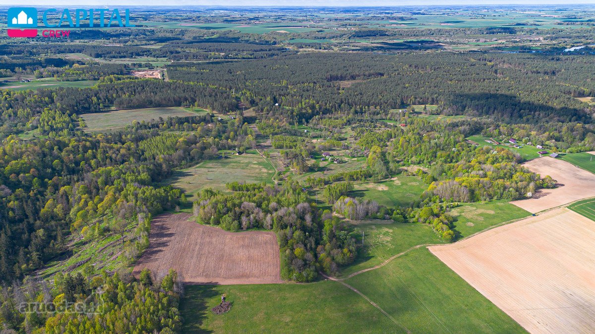 Parduodamas 11,62 Ha Žemės Sklypas Širvintų R - nuotraukos Nr. 7