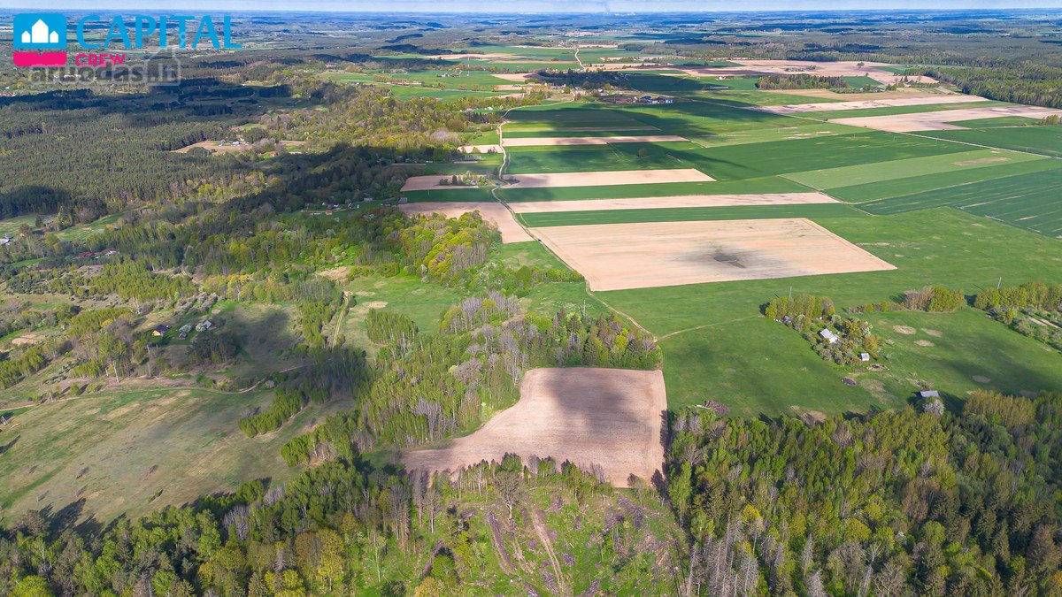 Parduodamas 11,62 Ha Žemės Sklypas Širvintų R - nuotraukos Nr. 9
