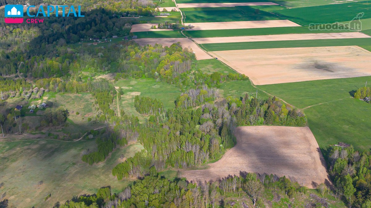 Parduodamas 11,62 Ha Žemės Sklypas Širvintų R - nuotraukos Nr. 10