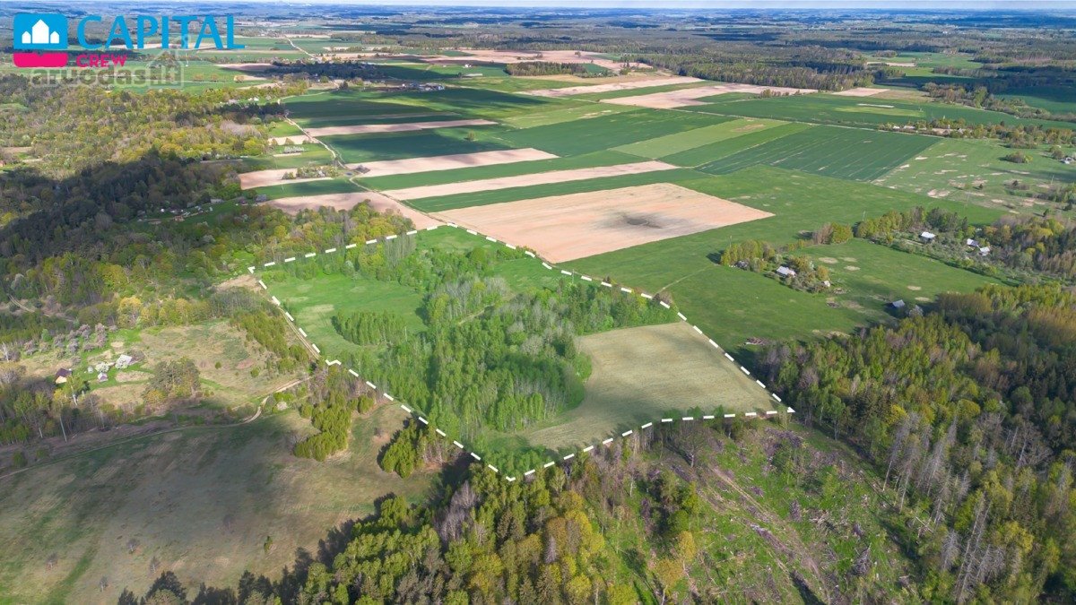 Parduodamas 11,62 Ha Žemės Sklypas Širvintų R - nuotraukos Nr. 11