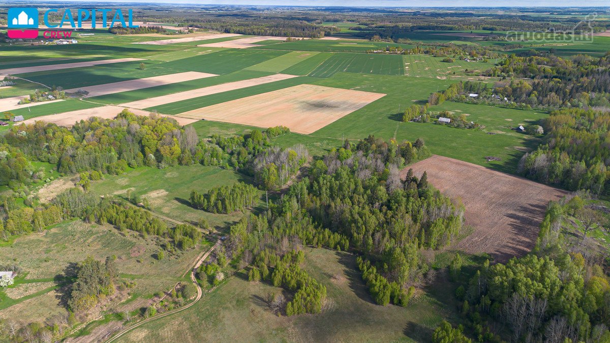 Parduodamas 11,62 Ha Žemės Sklypas Širvintų R - nuotraukos Nr. 12