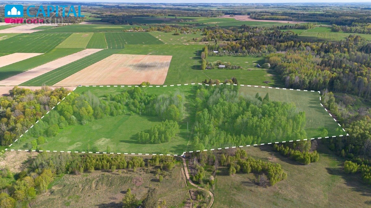Parduodamas 11,62 Ha Žemės Sklypas Širvintų R - nuotraukos Nr. 13