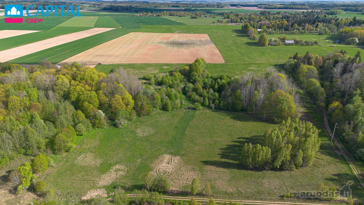 Parduodamas 11,62 Ha Žemės Sklypas Širvintų R - nuotraukos Nr. 14