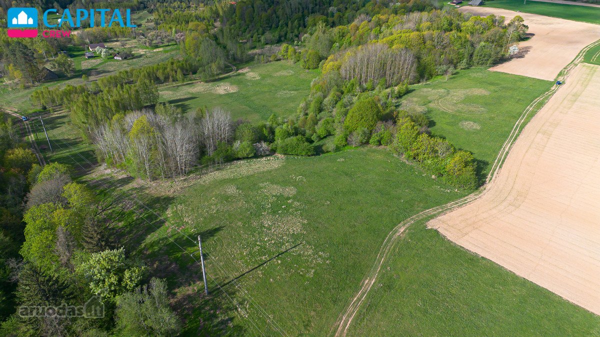Parduodamas 11,62 Ha Žemės Sklypas Širvintų R - nuotraukos Nr. 16