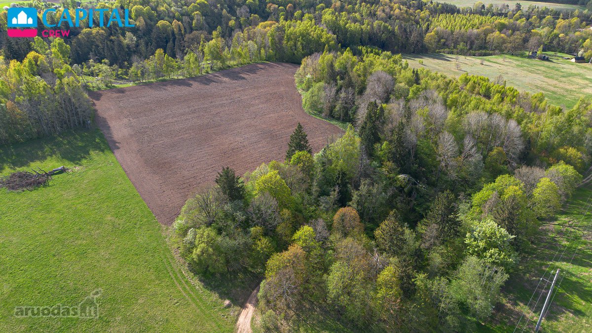 Parduodamas 11,62 Ha Žemės Sklypas Širvintų R - nuotraukos Nr. 17