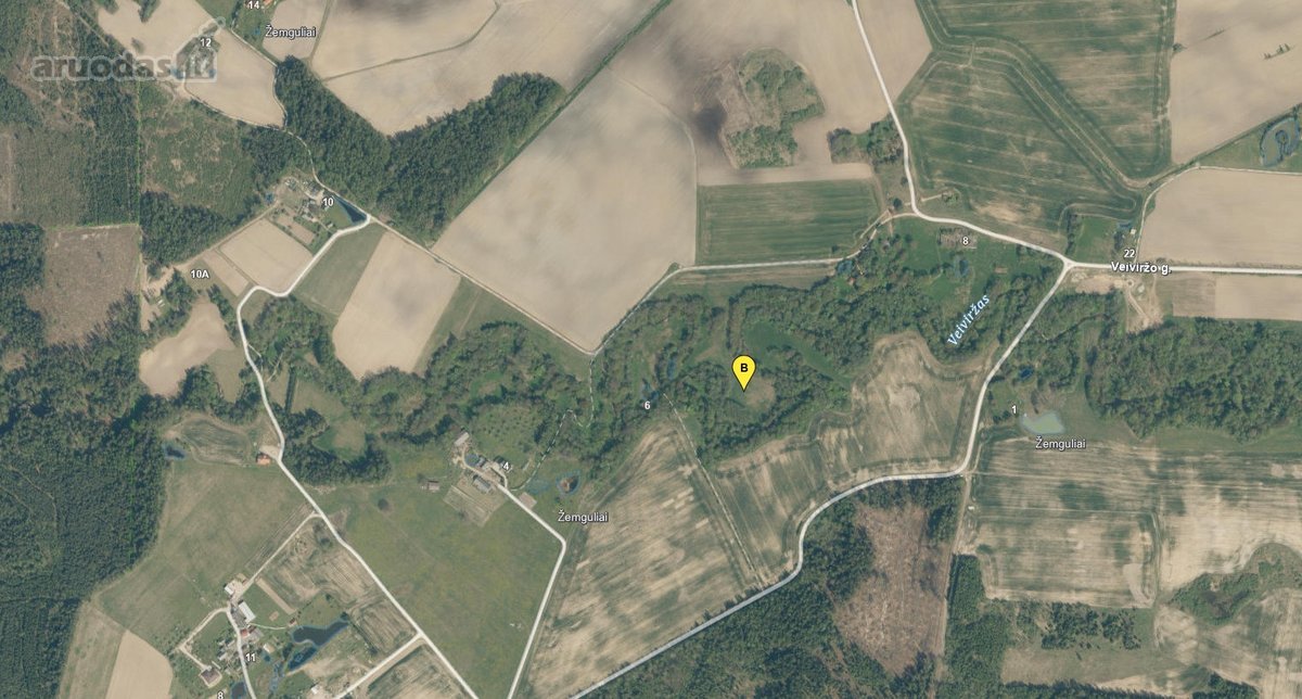 Parduodamas 3,18ha žemės ūkio sklypas - nuotraukos Nr. 3