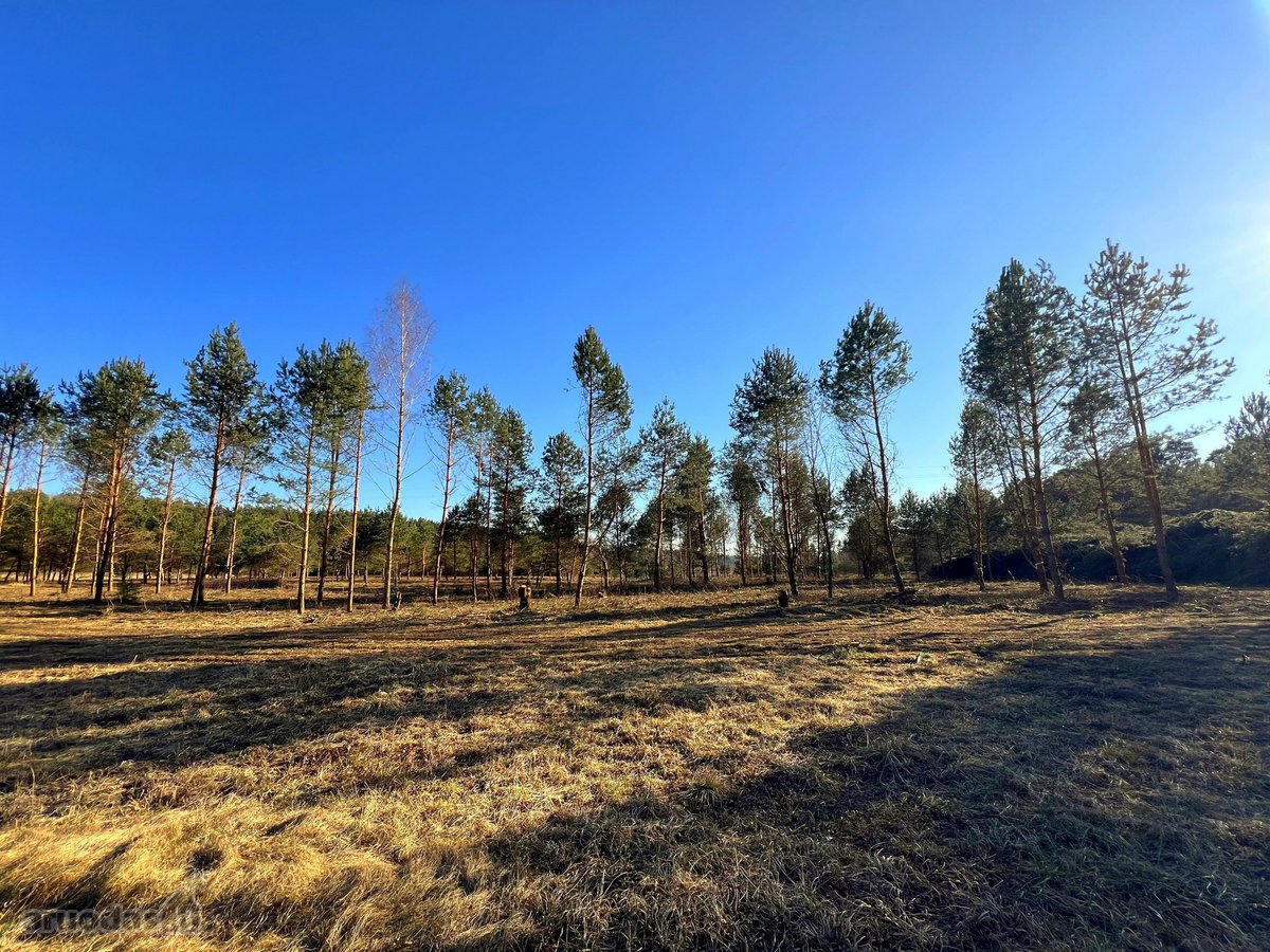 Naujame gyvenamųjų namų kvartale, pušyne - nuotraukos Nr. 6
