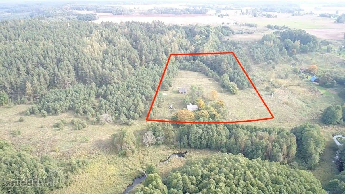 Labai pigiai parduodu!sodyba tinkama kaimo - nuotraukos Nr. 6