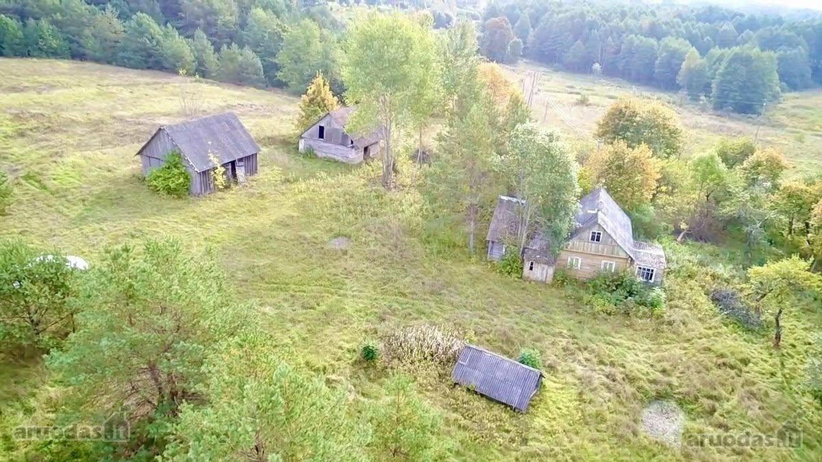 Labai pigiai parduodu!sodyba tinkama kaimo - nuotraukos Nr. 7