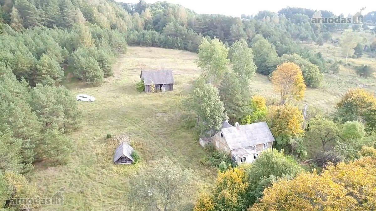 Labai pigiai parduodu!sodyba tinkama kaimo - nuotraukos Nr. 8