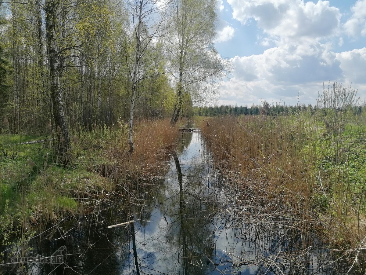 Erdvus Namų Valdos Sklypas Su Infrastruktūra - nuotraukos Nr. 3
