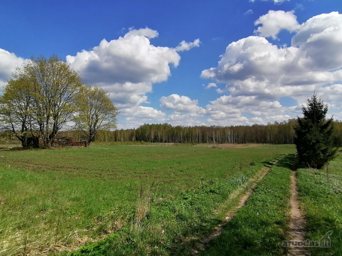 Erdvus Namų Valdos Sklypas Su Infrastruktūra - nuotraukos Nr. 2